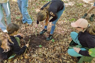 Schülerinnen erforschen den Waldboden