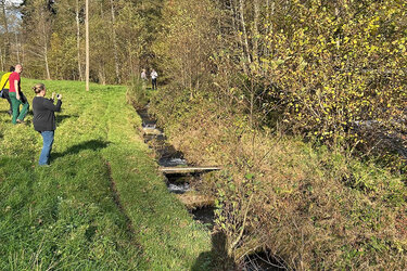 Eine neue Fischtreppe sichert die Gewässerdurchgängigkeit an der Kleinen Kinzig