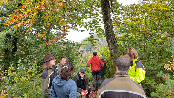 Studierende stehen im Wald und diskutieren miteinander