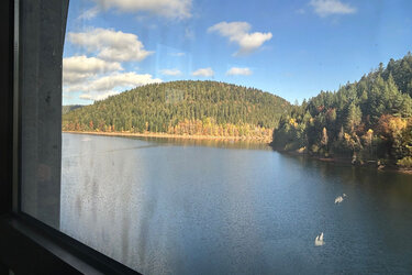 Blick aus dem Entnahmeturm auf Stausee und umliegende Wälder