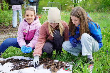 SchülerInnen sammeln Regenwürmern, Erdläufern, Asseln, Ameisen, Spinnen und Tausendfüßler im Kompost
