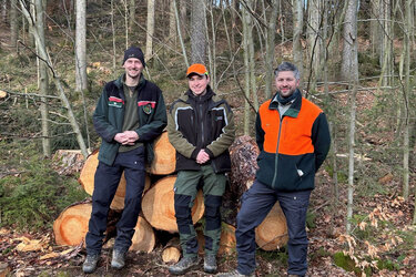 Gruppenfoto im Wald: (v.l.n.r.) Thomas Köhler (Leiter des Forstreviers Börnichen), Mirco Fritsche (HFR-Praktikant) und Tom Helbig (Leiter der Stabstelle Privat- und Körperschaftswald) freuen sich über die interessanten Projektarbeiten von M Fritsche im Staatswald Treppenholz des Forstbezirks Marienberg.