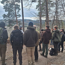 Studierende stehen vor Prof. Schurr im Wald und hören diesem zu