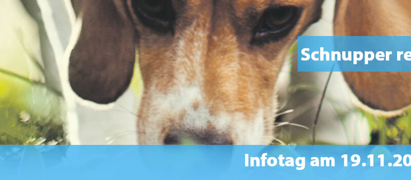 Studieninformationstag Schnupper rein! - Infotag am 19. November 2025