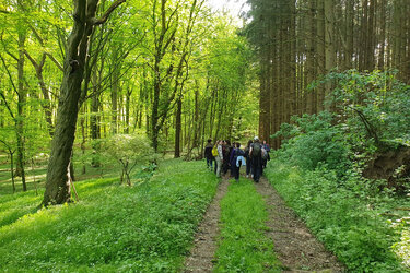 Studierende laufen durch einen Laubwald