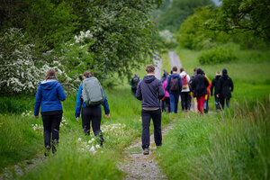 Studierende wandern durch eine Wiesenlandschaft mit Bäumen und Hecken