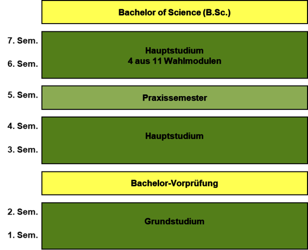 Ablaufschema Studiengang B.Sc. Forstwirtschaft