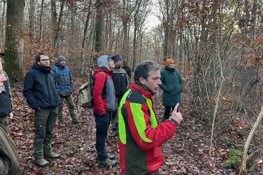 Förster Roland Wirtz erläutert im Wald, wie Eichen-Naturverjüngung im Dauerwald gelingt