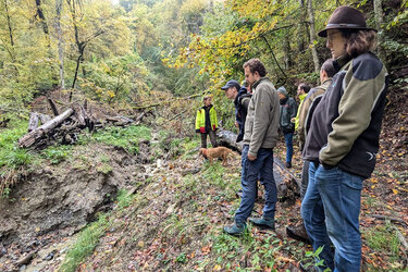 Studierende begutachten einen Graben im Wald