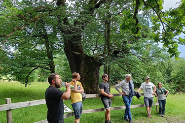 HFR-Studierende vor einer ca. 500 Jahre alten Eiche im Eichenwytwald Wildenstein.