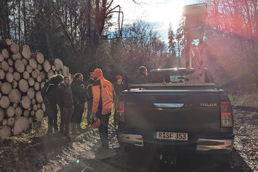 Studierende stehen im Wald vor geschichteten Rundholz