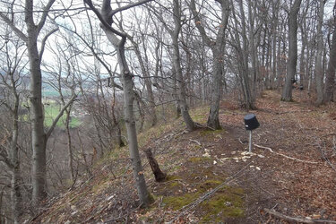 Trockener Standort am Berggrat, oberhalb von Beuren