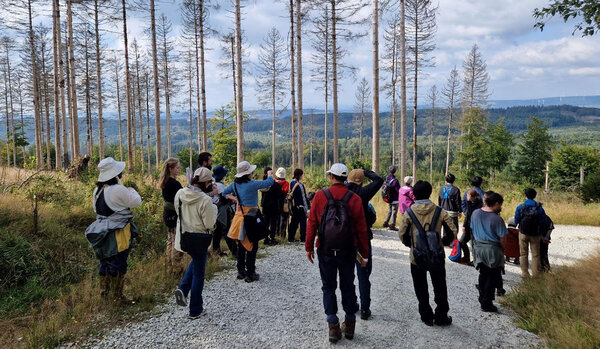 Teilnehmer laufen auf einem Waldweg